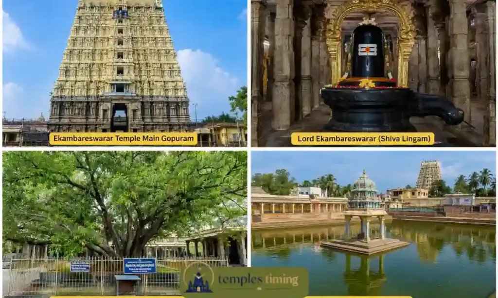 Ekambareswarar Temple Kanchipuram Timings