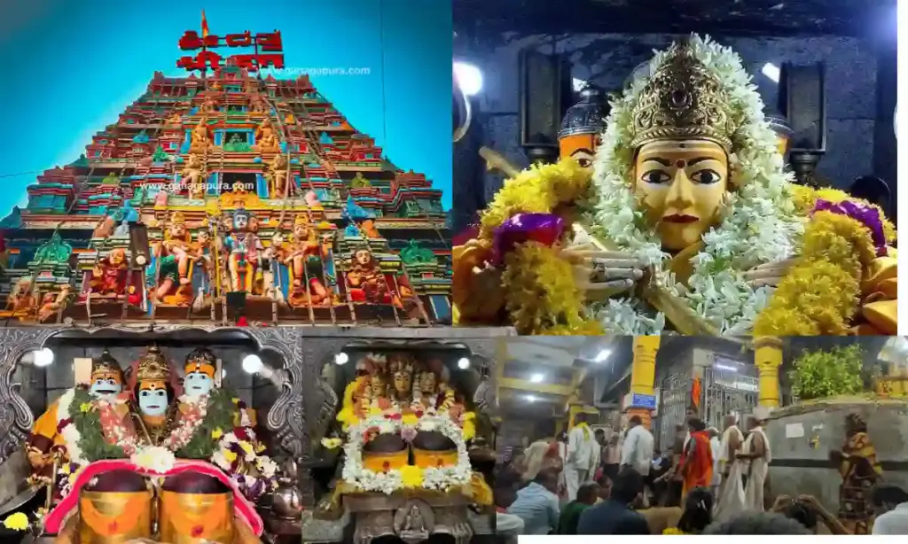 Gangapur Temple Timings