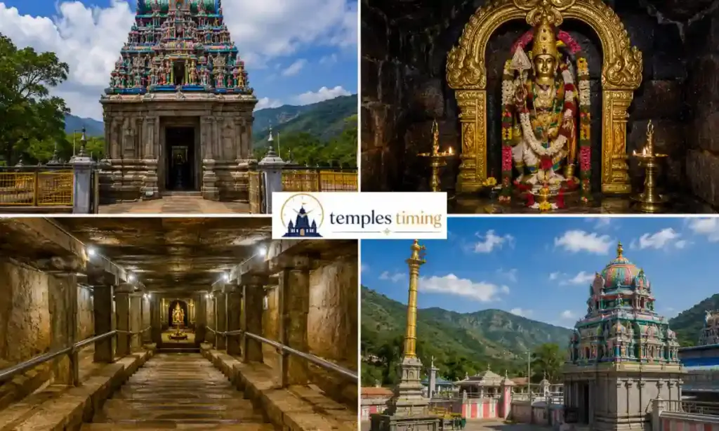 Pathala Sembu Murugan Temple Timings