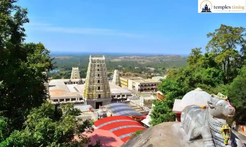 Badichunchanagiri Temple