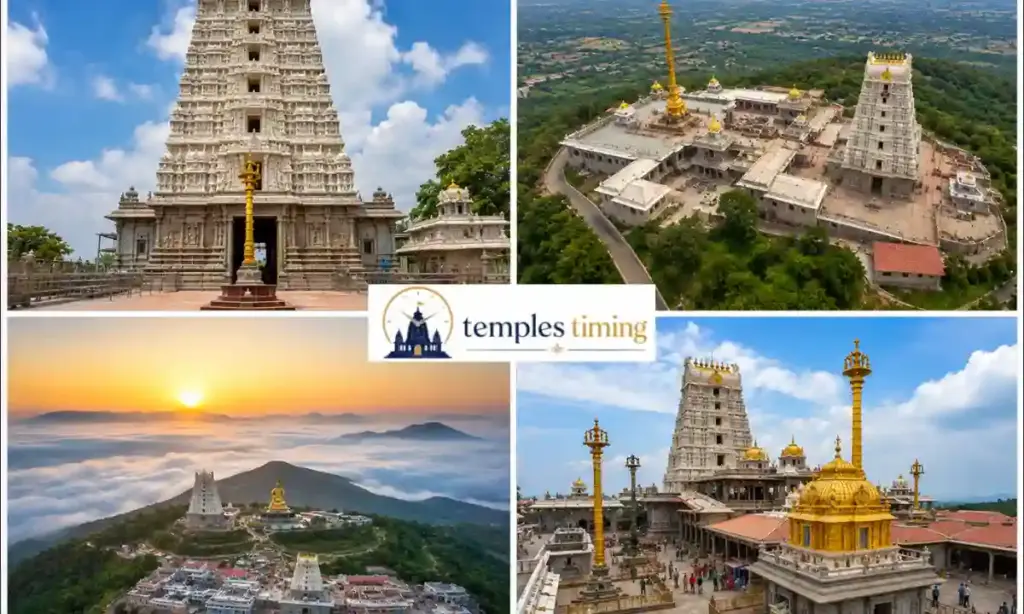 Badichunchanagiri Temple Timings