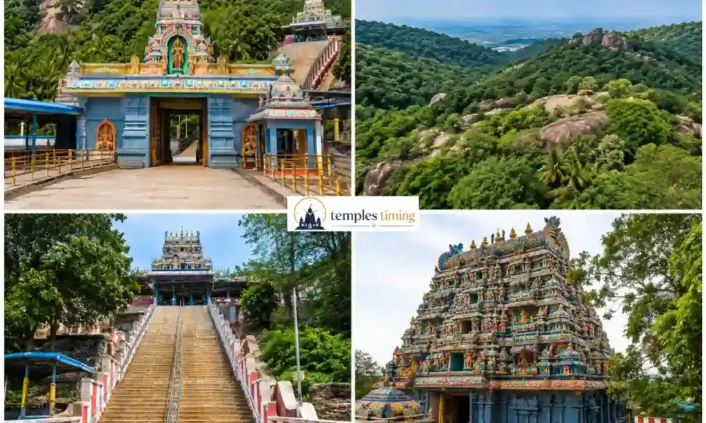 Pazhamudhir Solai Temple Timing