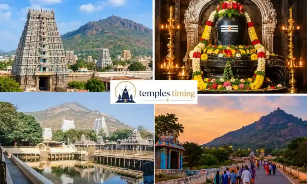 Arunachalam Temple Timings Today
