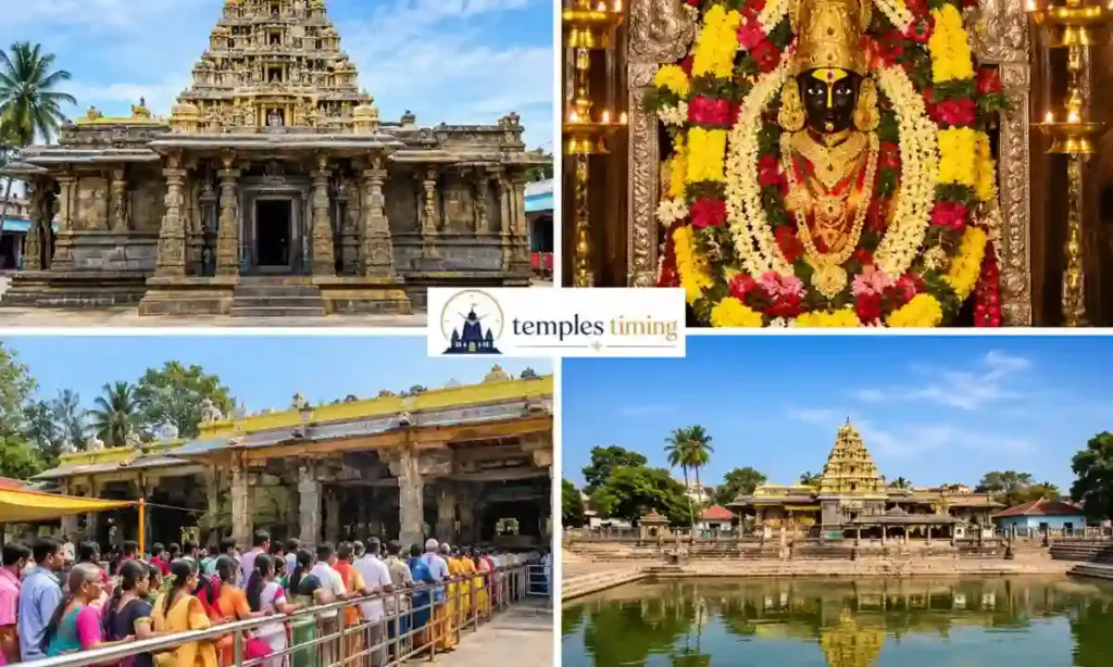Hasanamba Temple Timings
