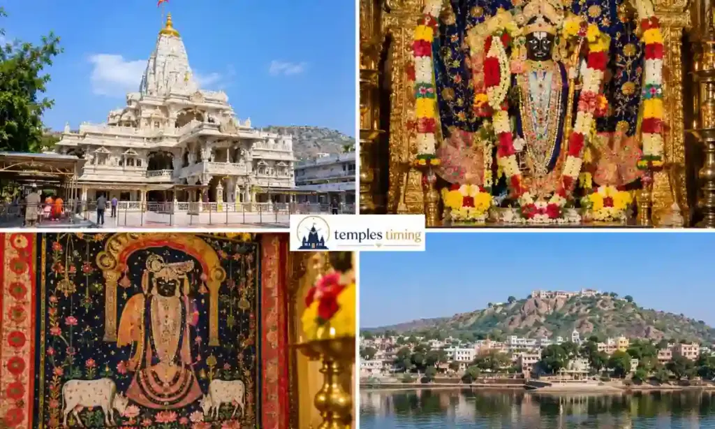 Nathdwara Temple Timings