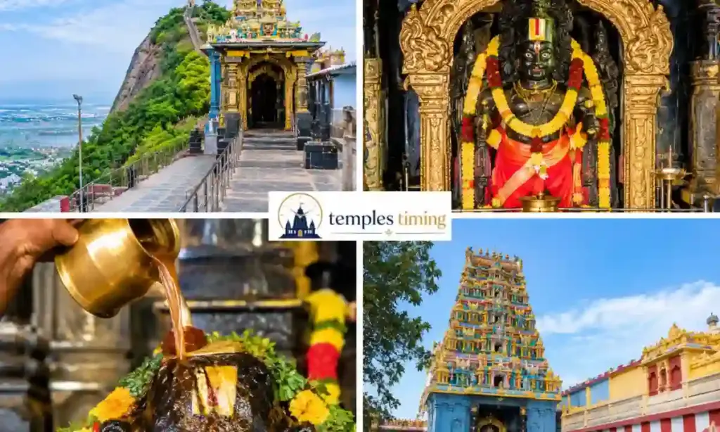 Panakala Narasimha Swamy Temple Timings