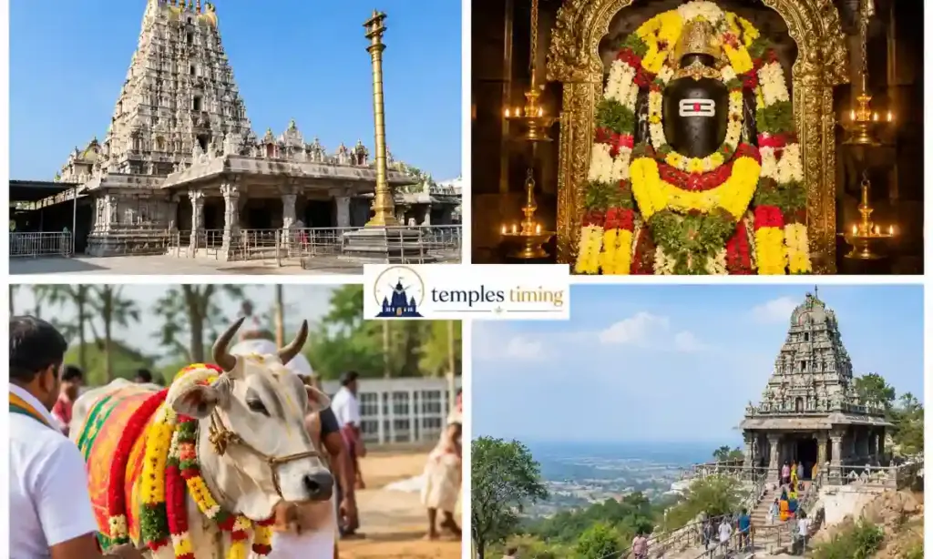 Vemulawada Temple Timings